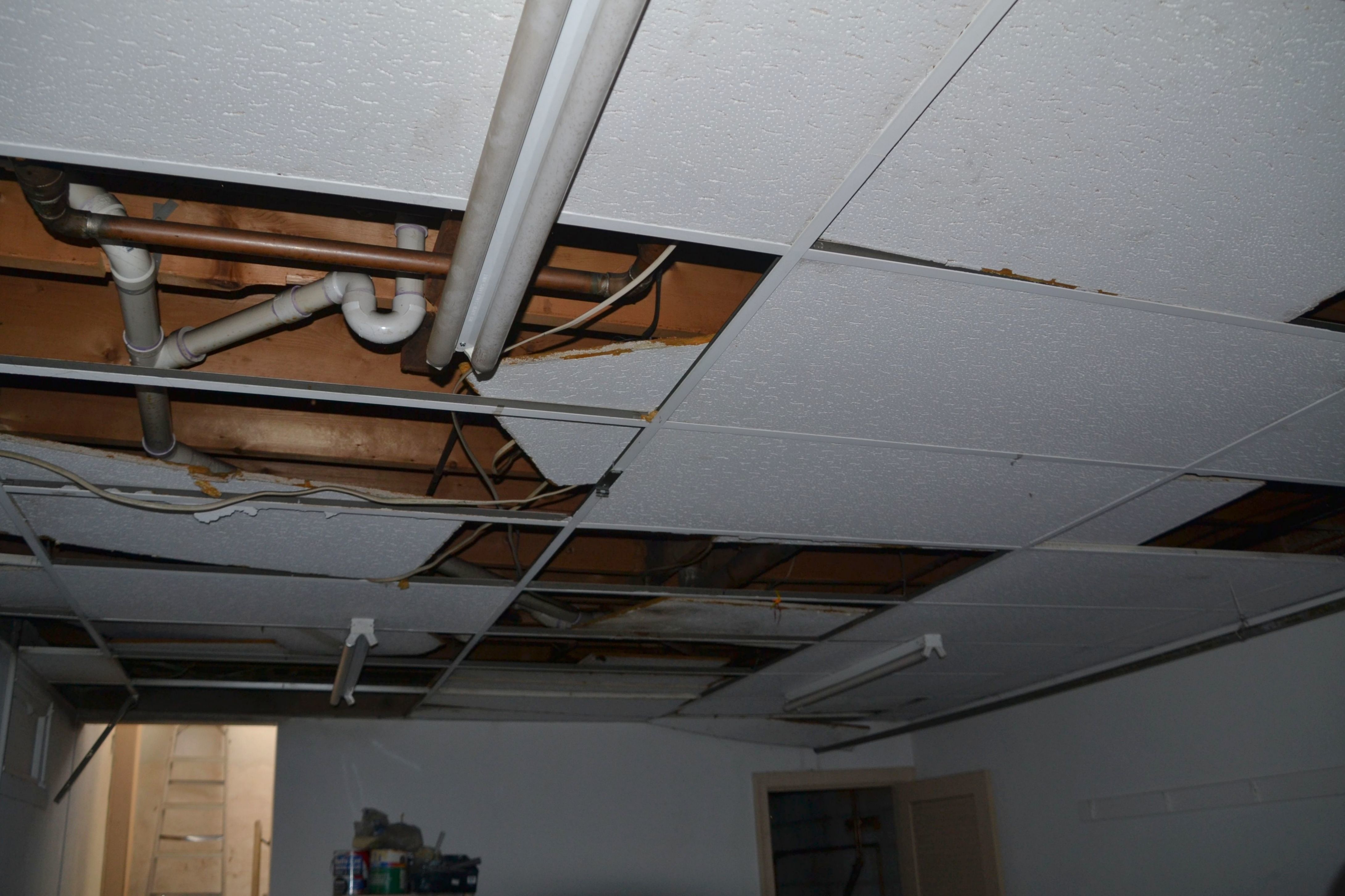 Identifying and Addressing Water Damage in Highlands Ranch Homes